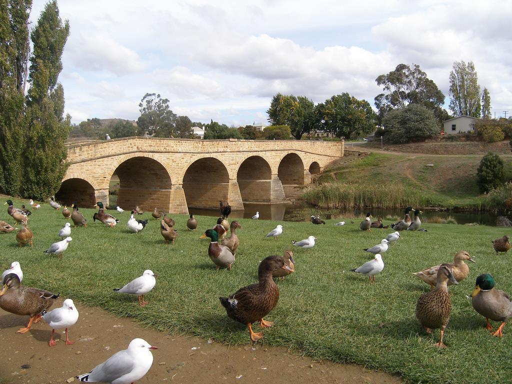 Bridge Cottages Sargeants & Armoury Cottages 1823 - History & Charm Richmond Exteriér fotografie